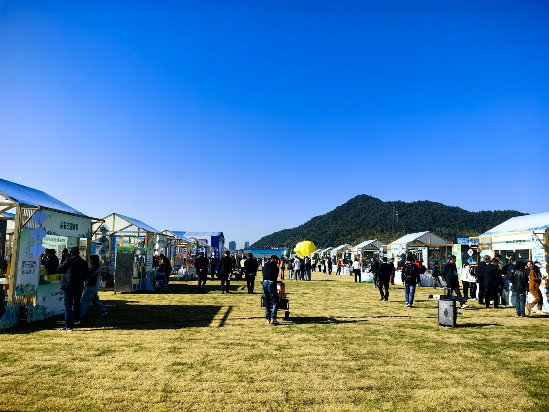 江西黑芝麻食品科技有限公司亮相24年中国农民丰收节，携黑芝麻产品共庆丰收盛况