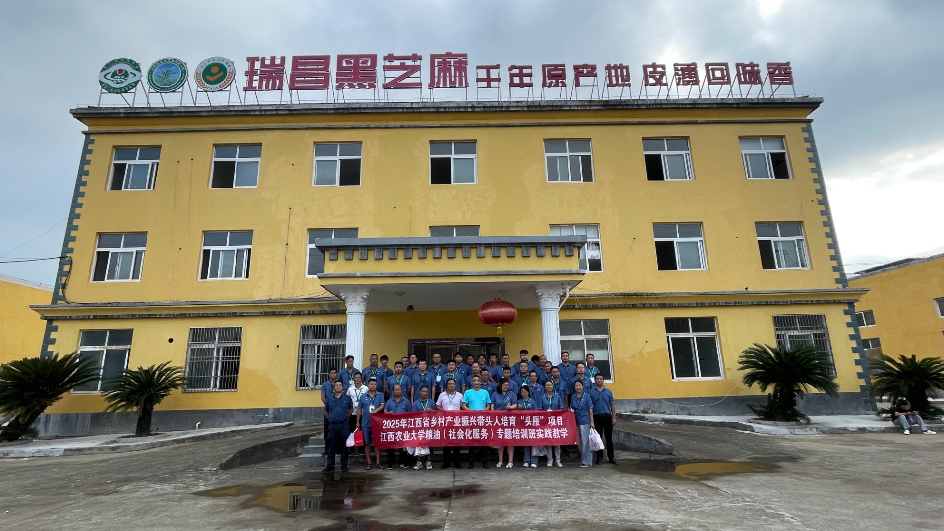 科技赋能产业兴|“头雁”齐聚瑞昌,探秘黑芝麻全产业链蜕变之路